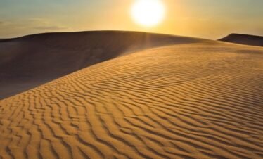Red Dune Safari with 5 Star Camp