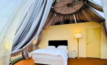 Overnight Safari (Desert Dreams)